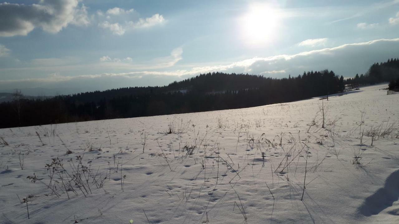 Domek W Beskidach Zachelmna المظهر الخارجي الصورة